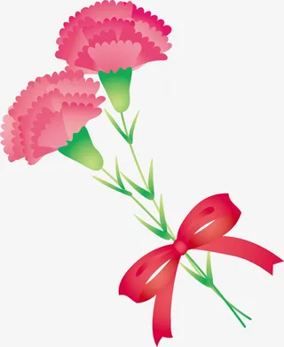 淡紫色上的康乃馨免抠