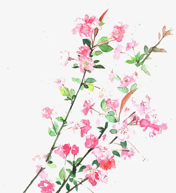 海棠树枝免扣素材免抠