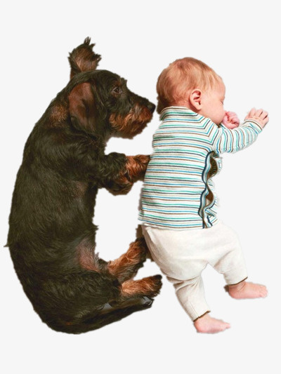 狗和小孩熟睡免抠