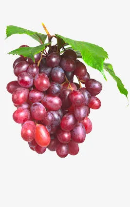 红色提子免抠