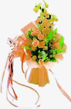 温馨母亲节康乃馨花朵免抠