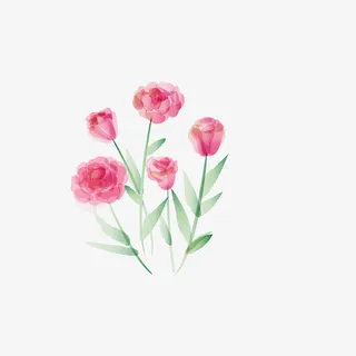 手绘水彩花卉植物免抠手绘/卡通手绘元素