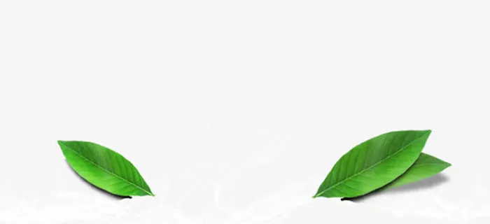 漂浮元素 树叶免抠