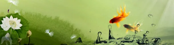 风景背景图