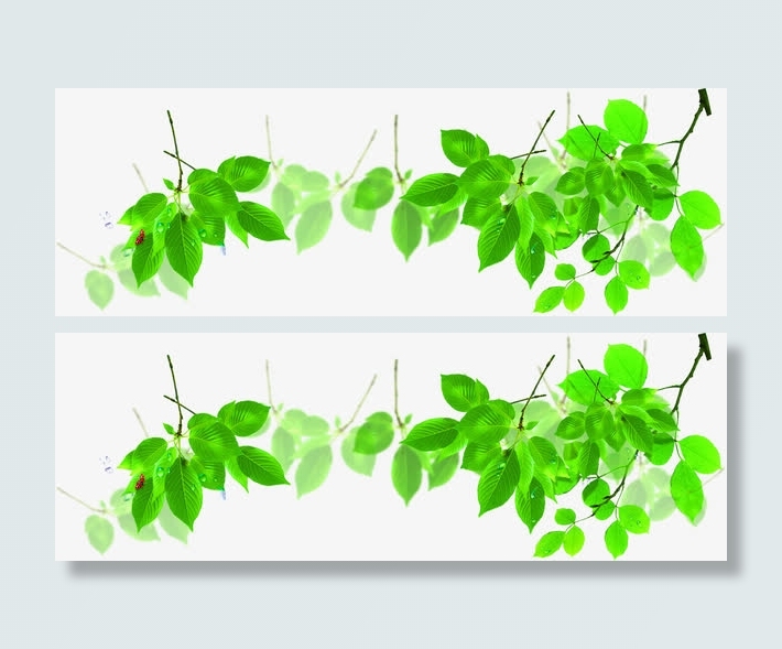 手绘绿色树叶边框装饰免抠