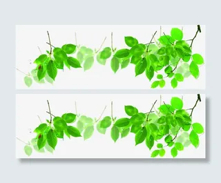 手绘绿色树叶边框装饰免抠