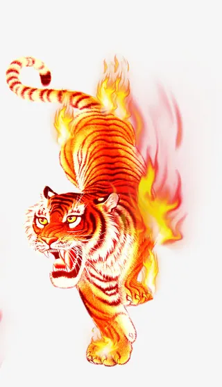 燃烧的老虎免抠