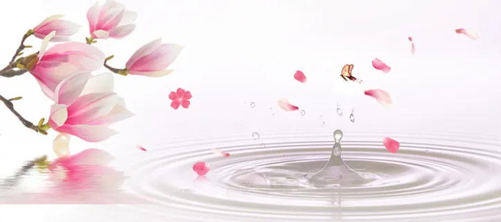 花瓣清新淡灰色背景banner高清