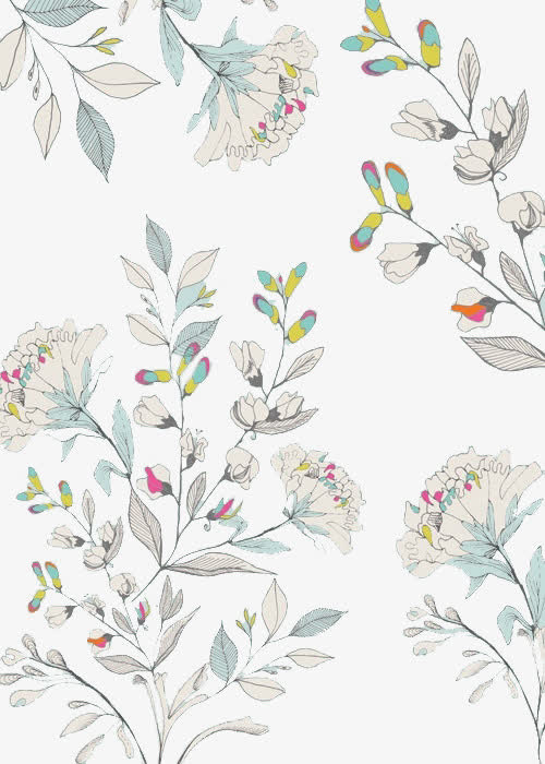 手绘花朵花卉植物免抠