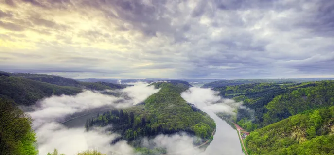 森林迷雾海报背景高清