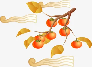 柿子树PNG矢量素材免抠