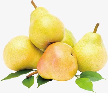 高清黄色鸭梨绿叶免抠