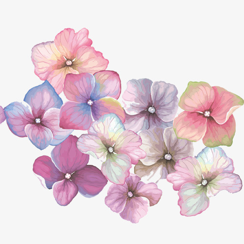 彩色唯美装饰小型花朵装饰图免抠