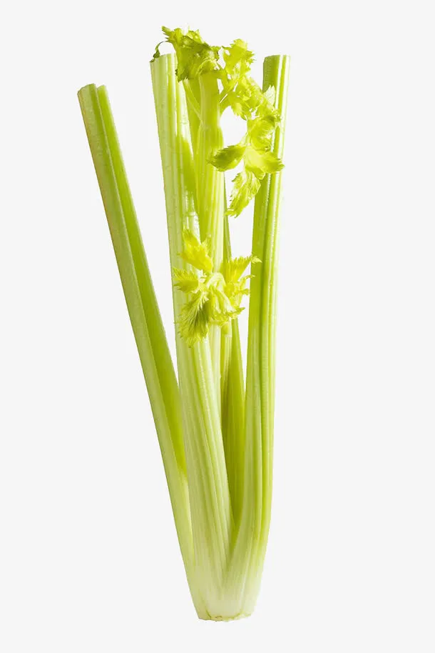 芹菜免抠图片免抠