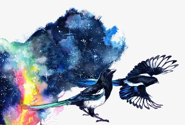 星空和鸟免抠