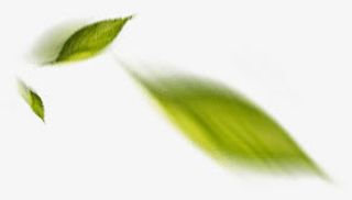 叶子绿色叶子模糊叶子不规则漂浮免抠