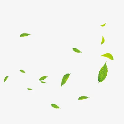 一片散落的树叶免抠