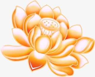 扁平风格彩绘荷花盛放免抠
