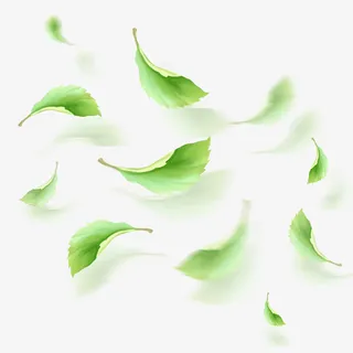 清新小花卡通插画2免抠