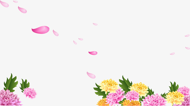 清新菊花和花瓣免抠素材免抠