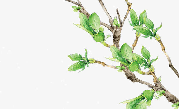 手绘树枝春芽素材免抠动植物植物元素