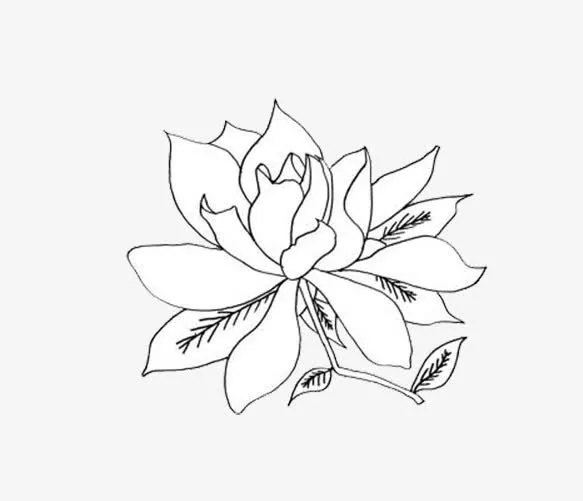 栀子花简笔画免抠