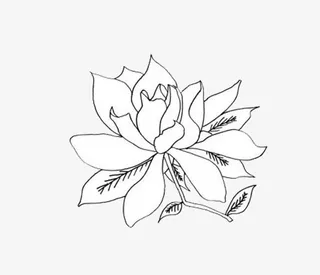 栀子花简笔画免抠