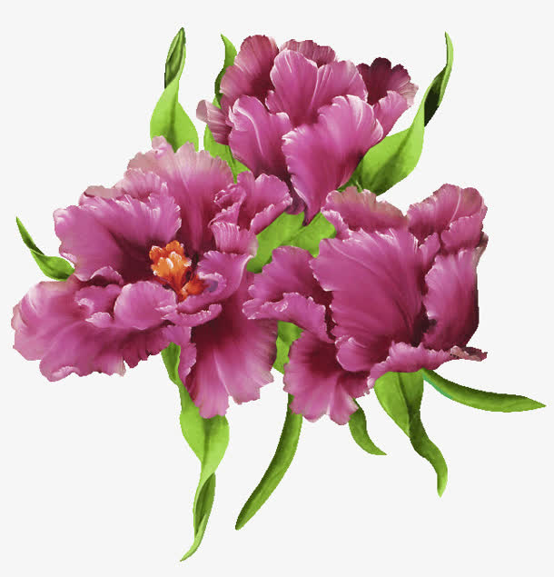 红色精美png素材花韵免抠