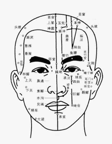 人体面部穴位免抠