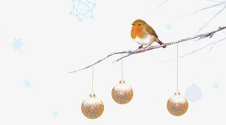 卡通手绘装饰树枝小鸟铃铛吊饰免抠