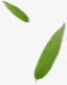 树叶漂浮免抠