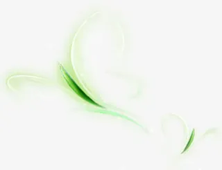 绿色装饰，淘宝素材，底纹免抠