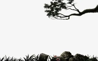 石头小草树枝边框免抠