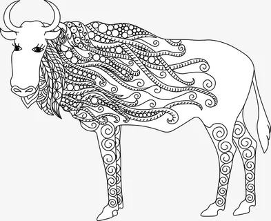 黑白老牛模型免抠