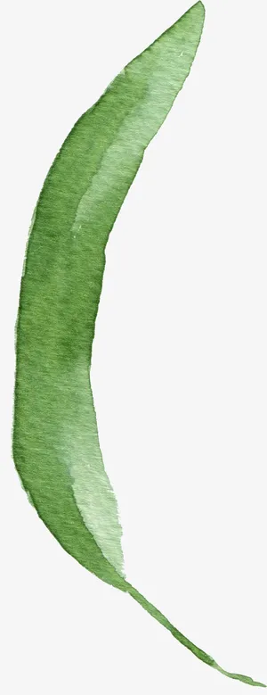 绿色水彩叶子免抠