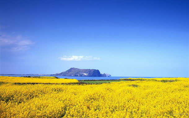 蓝天油菜地小岛免抠背景其他元素