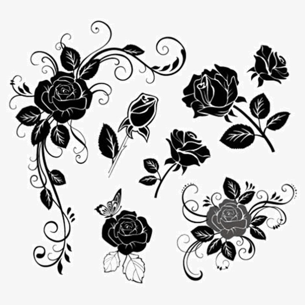 黑白素描花朵免抠