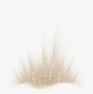 棕色闪耀光芒效果元素免抠