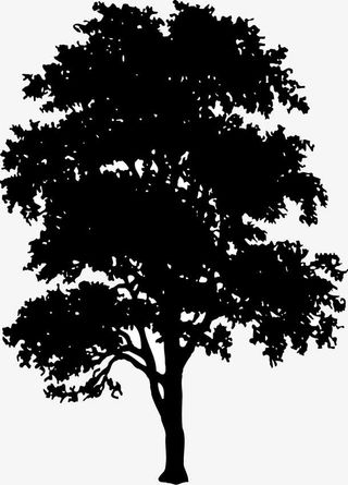 树木矢量北京剪影素材免抠