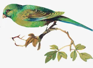 国画绿色飞鸟元素免抠