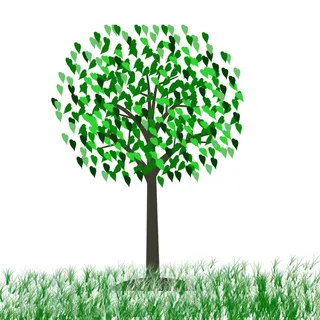 大树，树叶，草地，春天免抠