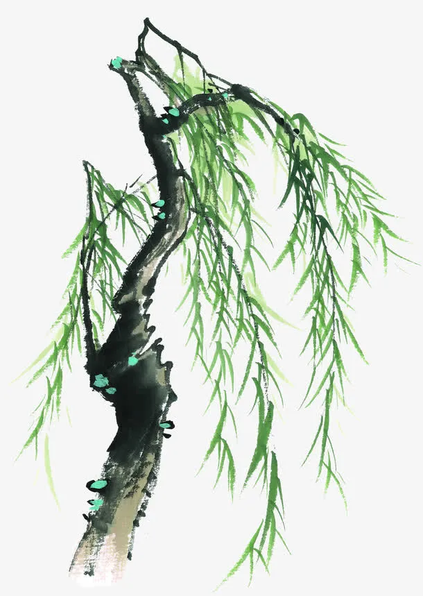 中国风手绘柳树水墨画免抠