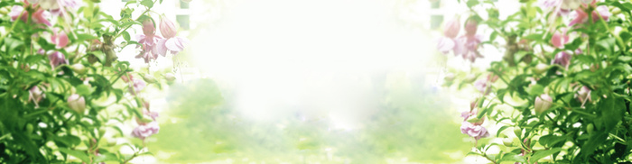 淘宝女装背景banner高清