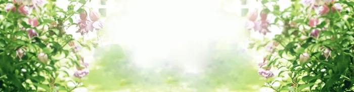 淘宝女装背景banner高清