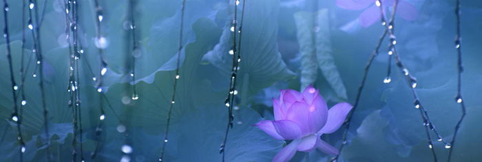 简约背景高清