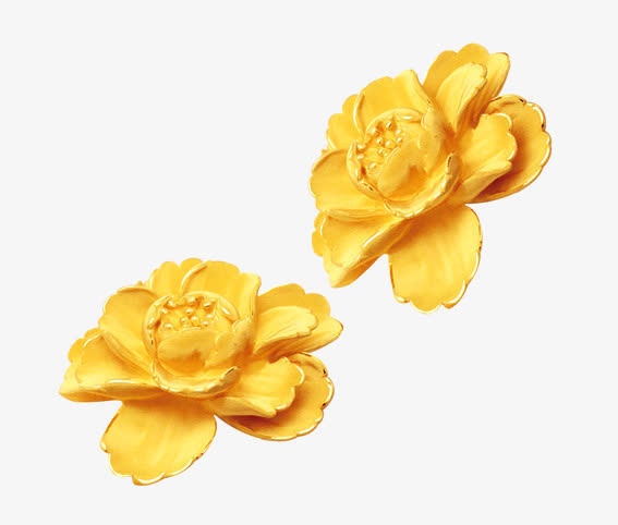 金芙蓉免抠