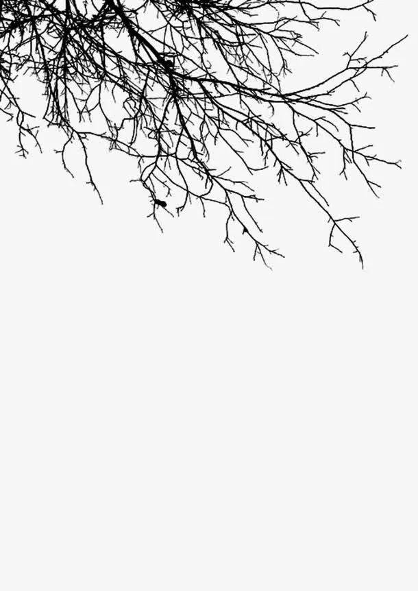树枝 水墨画 中国画免抠