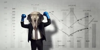 戴着拳套的大象脑袋商务人士背景高清