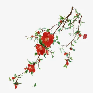 红色鲜花春天开花免抠