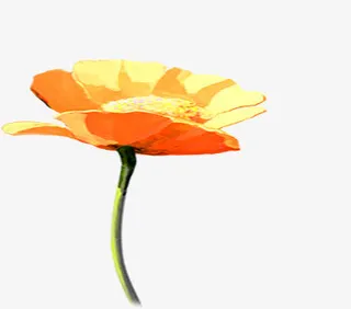 春天黄色手绘花朵免抠